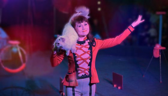 Цирк-шапито «Карнавал»