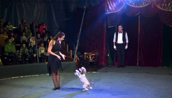 Цирк-шапито «Карнавал»