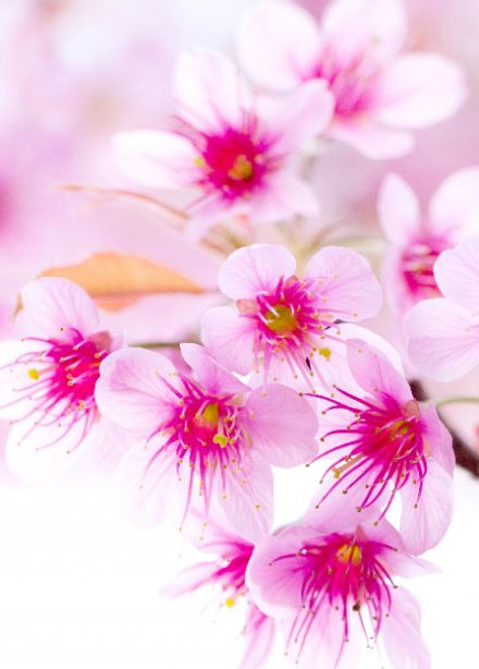 Её величество - женщина. Посиделки