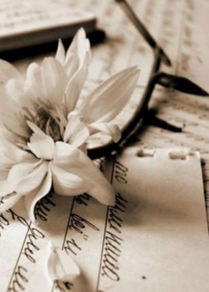 Красота, живущая в стихах. Вечер поэзии