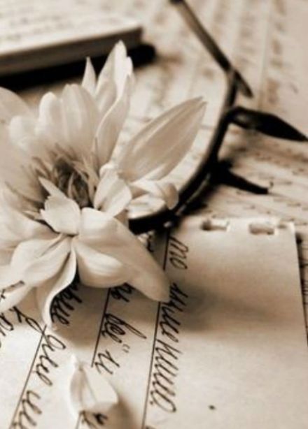 Красота, живущая в стихах. Вечер поэзии