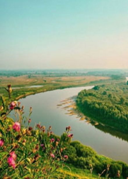 Поэтическая палитра Дона. Медиаурок